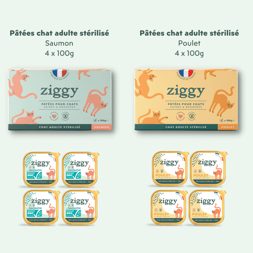 Coffret Découverte chat adulte stérilisé composé d'un paquet de 1kg de croquettes pour chat sans céréales et 4 pâtées au Saumon saines et 4 pâtées au poulet sans amidon