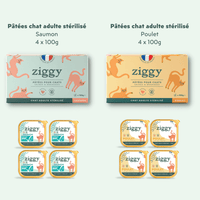 8x100g de pâtées au poulet et au saumon pour chat adulte stérilisé Ziggy