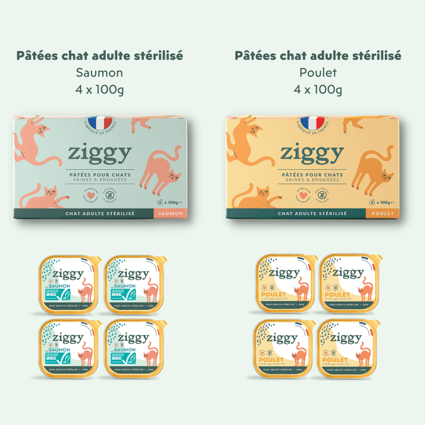 8x100g de pâtées au poulet et au saumon pour chat adulte stérilisé Ziggy