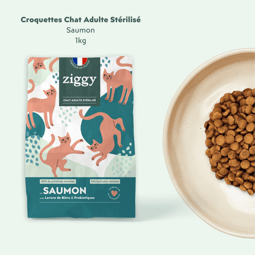 Paquet de croquettes saines et sans céréales 1kg à côté d'une gamelle pleine de croquettes pour chat adulte stérilisé